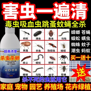 害虫一遍清高效灭虫杀虫剂蟑螂蚊子跳蚤室内户外养殖场速杀