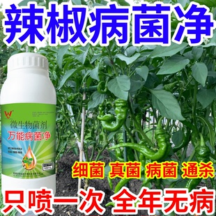 辣椒病菌净果树蔬菜花卉稻瘟病病毒白粉病灰霉病锈病病害清一喷清