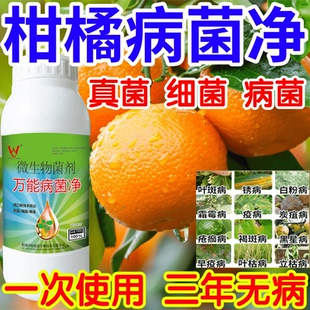 柑橘病菌净白粉病灰霉病锈病绿植花卉果树蔬菜病害清一喷清杀菌剂