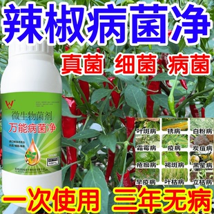 辣椒病菌净白粉病灰霉病锈病绿植花卉果树蔬菜病害清一喷清杀菌剂