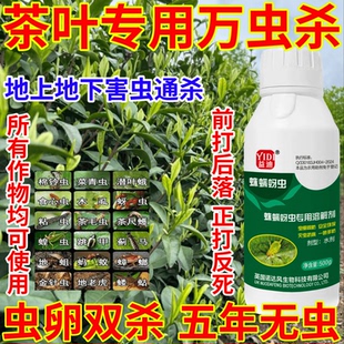 茶叶专用万虫杀蛛螨蚜虫果树蔬菜花卉通用助剂生物溶解剂杀虫杀卵