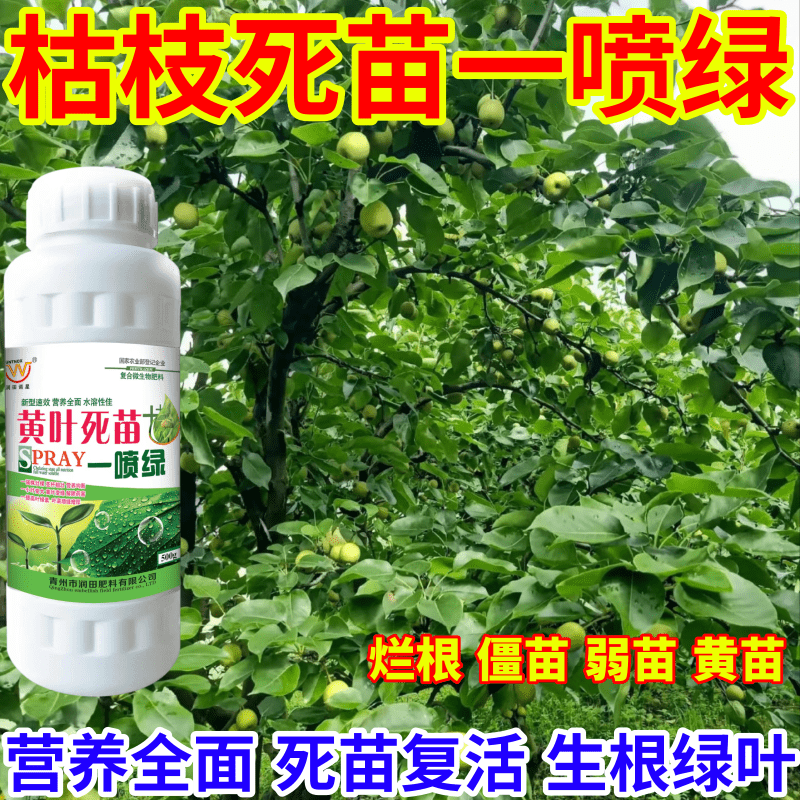 枯枝死苗一喷绿正品蔬菜瓜果果树水溶专用微量元素快速绿色叶面肥