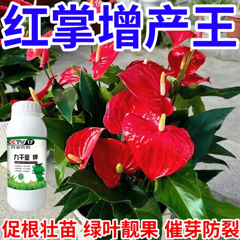 红掌增产王九千金钾保花保果产万斤催花爆芽壮苗绿叶生根叶面肥料
