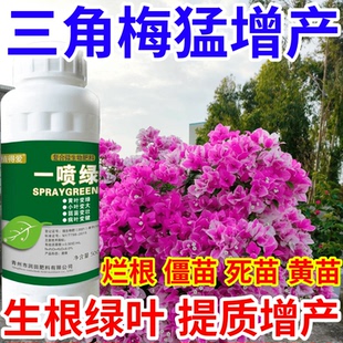 三角梅猛增产树蔬菜花卉通用一喷绿烂根僵苗复活液生根绿叶叶面肥
