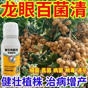 龙眼百菌清病毒菌病微生物菌剂农田医生果树蔬菜花卉霜霉病炭疽病