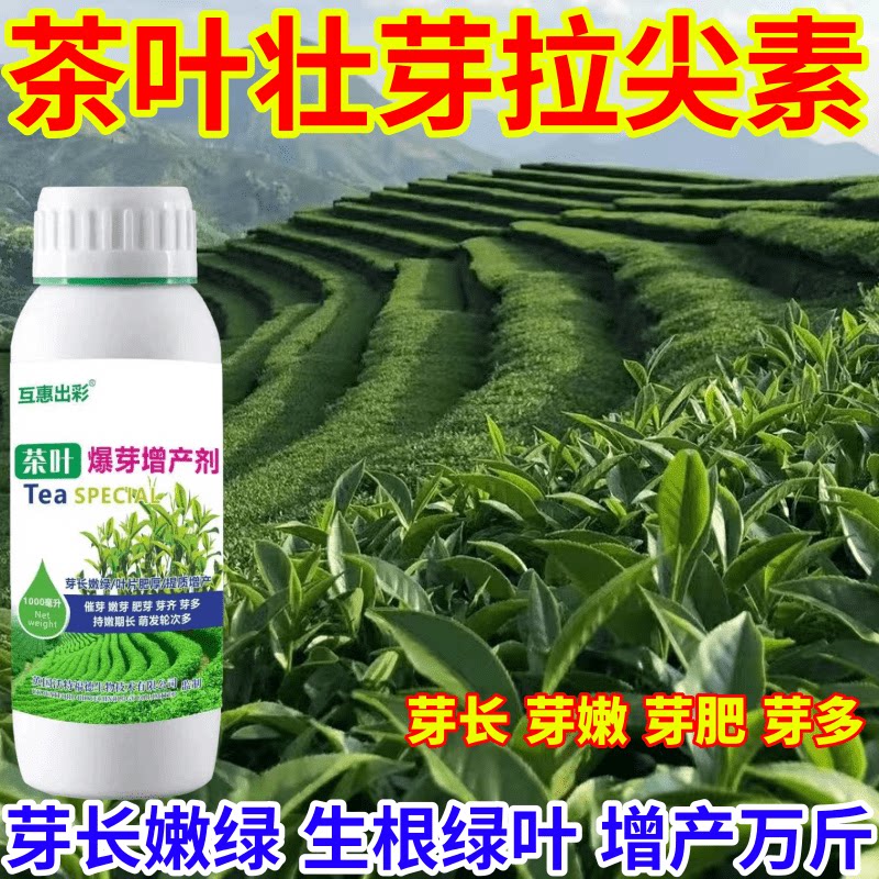 茶叶壮芽拉尖素树专用肥茶叶催芽剂芽长嫩绿抗寒提前出芽芽多壮