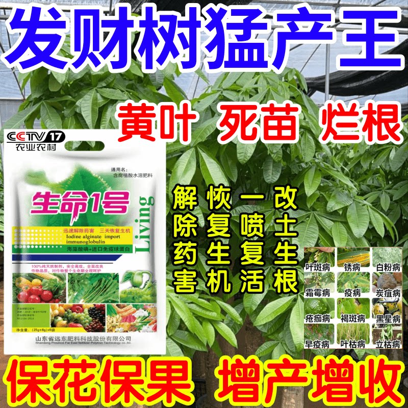 发财树猛产王叶死苗烂根根腐一喷复活果树蔬菜花卉生根绿叶叶面肥