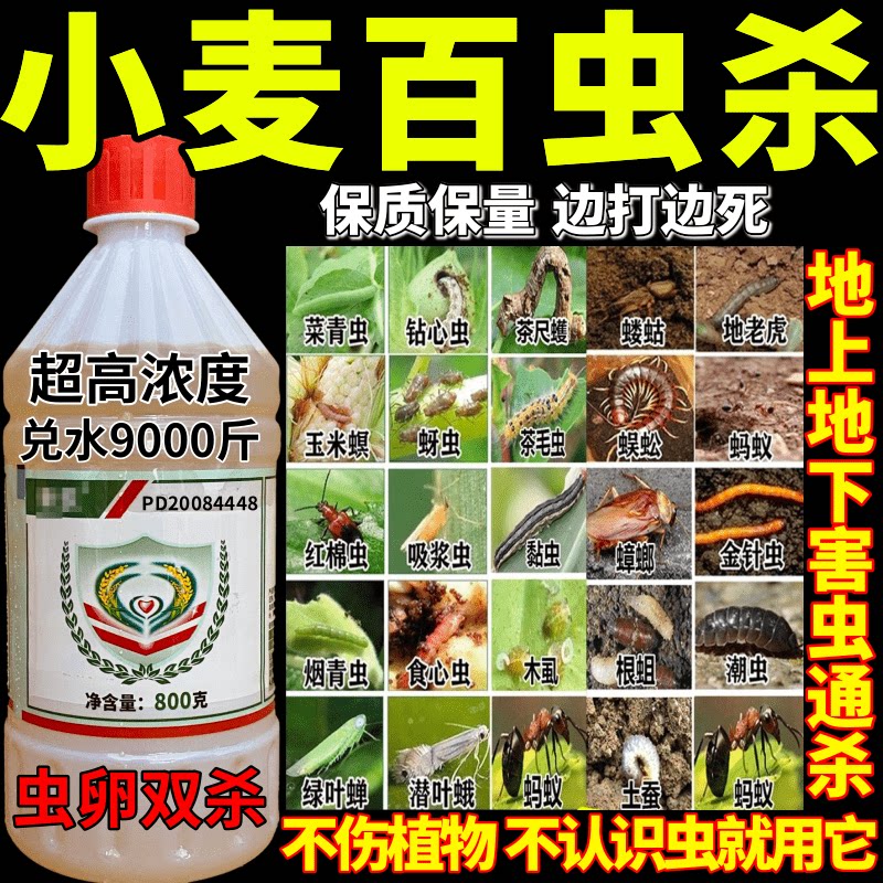 林田小麦百虫杀花卉植物地下害虫蚧壳虫小黑飞蚜虫农田杀虫剂杀虫