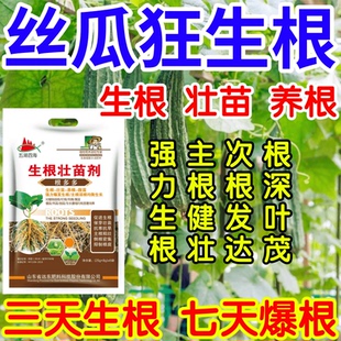 丝瓜狂生根根深叶茂主根健株次根发达果树蔬菜花卉爆根生根壮苗剂