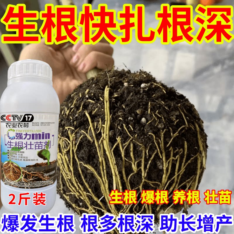 生根快扎根深苗剂速效生根液大树移植苗木扦插果树蔬菜生根剂
