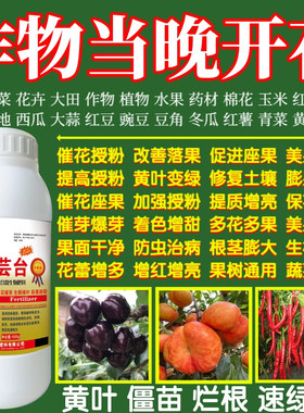 作物当晚开花座果提高座果率保花保果增产增收植物蔬菜叶面肥料