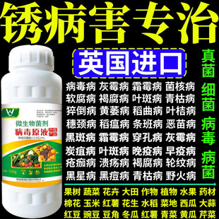 锈病害专治毒病杀菌剂蔬菜果树作物大田小叶病卷叶病矮缩病杀菌剂