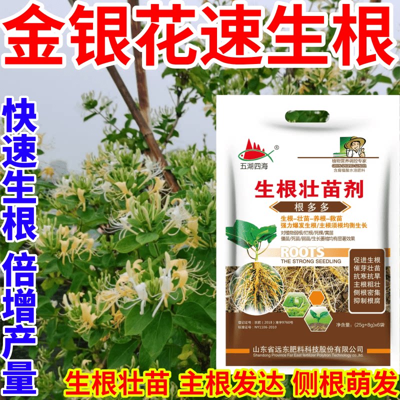 金银花速生根面肥扦插移栽猛生根原液腐殖酸水溶肥料育苗膨大根茎