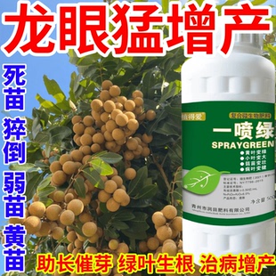 龙眼猛增产黄叶变绿叶蔬菜花卉果树死苗通用烂根黄叶专用叶面肥料