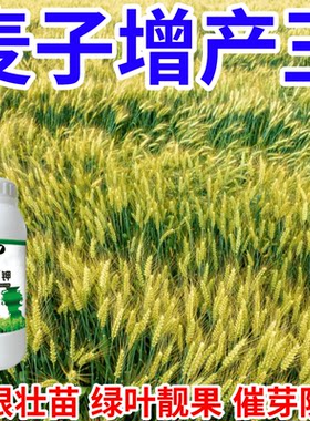 麦子增产王九千金钾保花保果产万斤催花爆芽壮苗绿叶生根叶面肥料