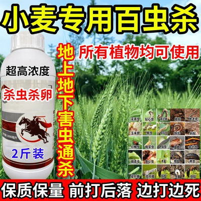 小麦专用百虫杀下害虫通杀红蜘蛛黏虫果树蔬菜花卉通用农药杀虫剂