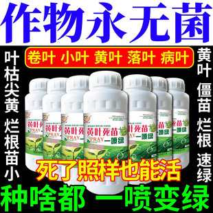 作物永无菌苗急救烂根一喷绿黄叶枯叶死苗烂叶喷活抗病抗逆叶面肥