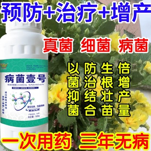 预防+治疗+增产抑菌病菌壹号生根绿叶生物防治果树蔬菜花卉杀菌剂