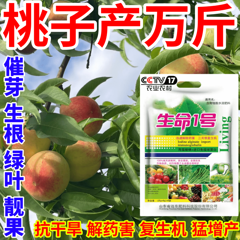 桃子产万斤芽生根绿叶靓果抗干旱复生机作物通用增产增收叶面肥