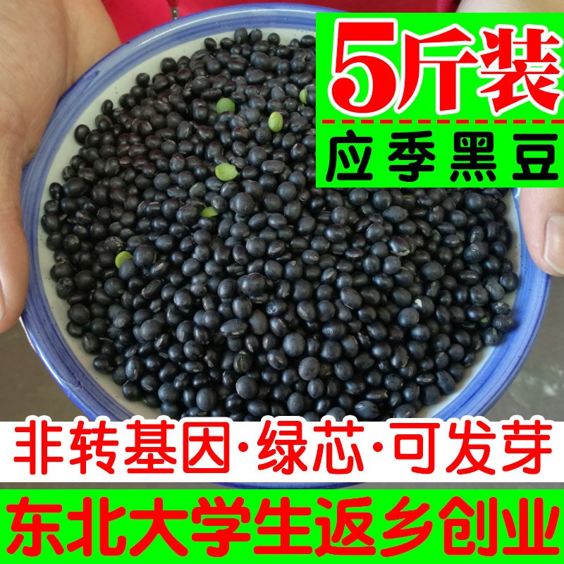 东北绿芯心小黑豆新鲜农家自产5斤装五谷杂粮豆芽豆浆可醋泡青仁