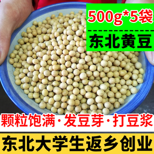 500g 东北黄豆打豆浆专用豆农家自种非转基因新大豆发豆芽 5袋