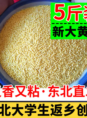 东北大黄米新货农家自种