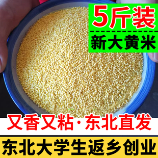 东北大黄米新货五谷杂粮粽子粘豆包粮食原材料黄大米早餐粥粘糯