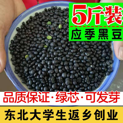 东北绿芯心小黑豆新鲜