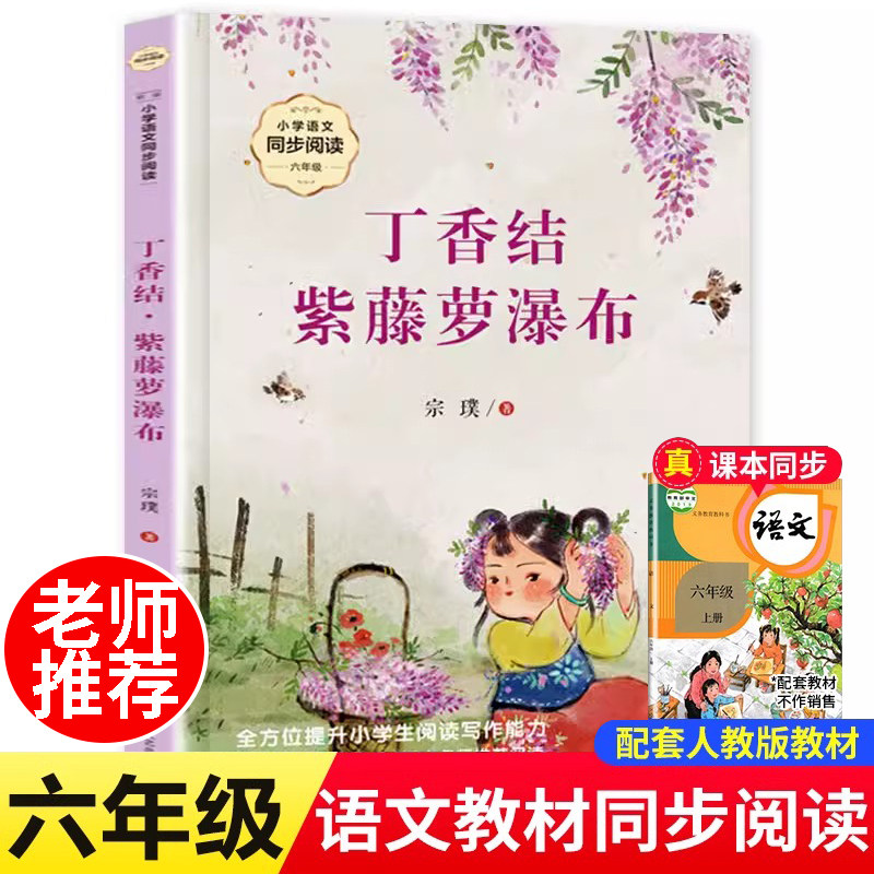丁香结紫藤萝瀑布 小学语文同步阅读六年级上册必读课外书老师推荐