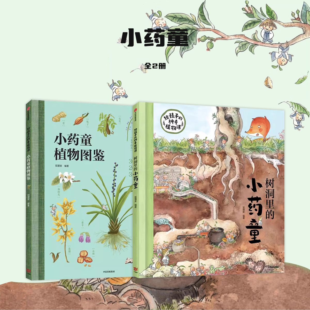 狐狸家给孩子的神奇植物课小药童