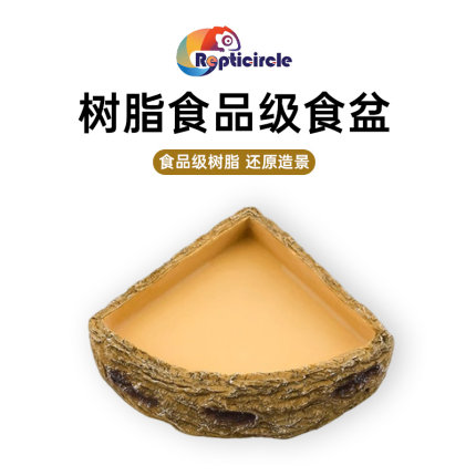 爬宠食盆蜥蜴水盆寄居蟹角蛙泡澡盆姥爷树蛙饲养箱造景饮水盆装饰