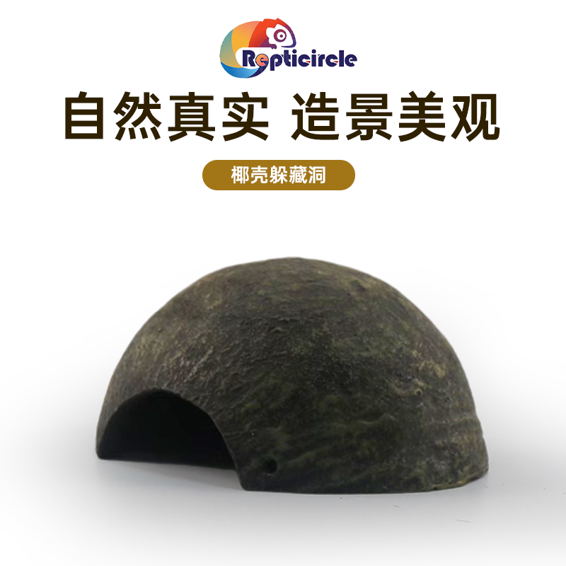 爬宠洞穴躲避蜘蛛蝎子