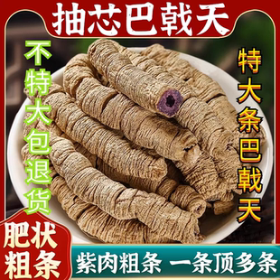 巴戟天中药材特大泡酒煲汤滋补可搭肉苁蓉杜仲淫羊藿炒杜仲牛大力