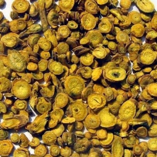 黄芩中药材野生黄芩片五年老货内蒙古枯黄芩龙胆草黄芩栀子500g