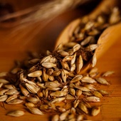 炒麦芽中药材500克炒大麦芽茶回奶断奶炒谷芽稻芽另有山楂鸡内金