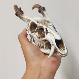 跨境货源树脂山羊头骨摆件立体仿真动物摆设欧美背景主题装饰道具