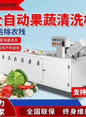 全自蔬气泡大清XZ-XCJ50洗果机型果蔬加工清洗生动产流水线多功能