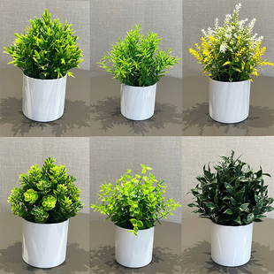 仿真花摆件仿真盆景小盆栽迷你桌面摆件客厅酒柜装 饰品 饰电视柜装