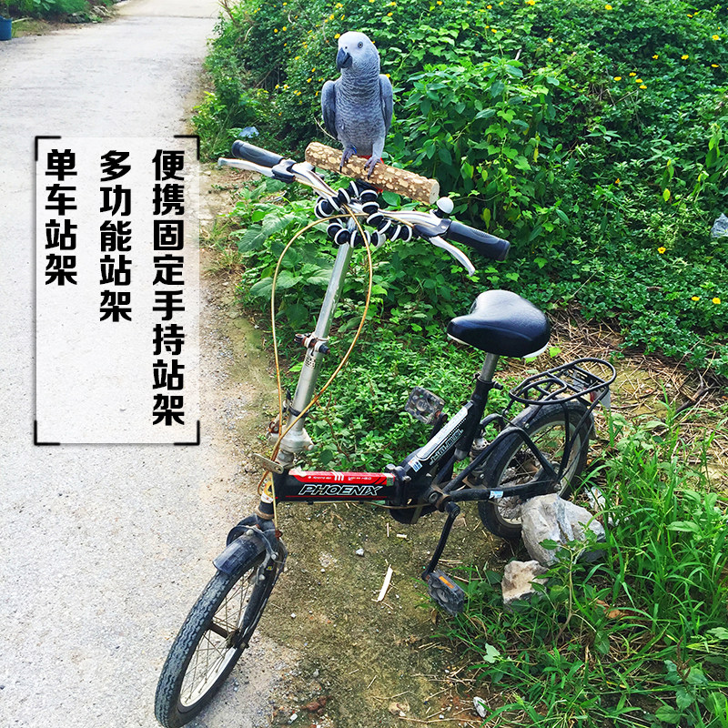 包邮鹦鹉外出外带遛鸟便携站架站棒站棍单车电车骑车八爪鱼可固定