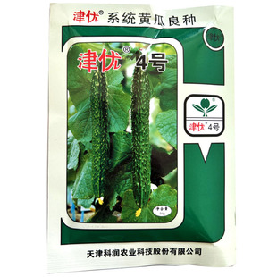 津优4号黄瓜种子 春秋露地越津春4号夏黄瓜密刺短把绿瓤黄瓜菜籽