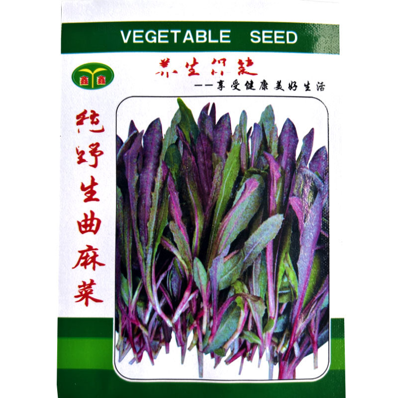 苦菜种子苦麻菜野菜种籽曲麻菜春秋食用青菜蔬菜四季红叶绿叶种子