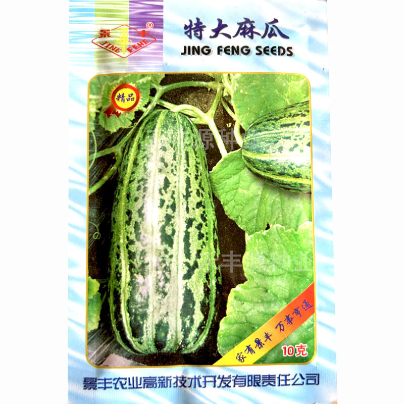 特大麻瓜甜瓜种子早熟芝麻蜜甜瓜小瓜籽花脆瓜薄皮甜度甜面高产