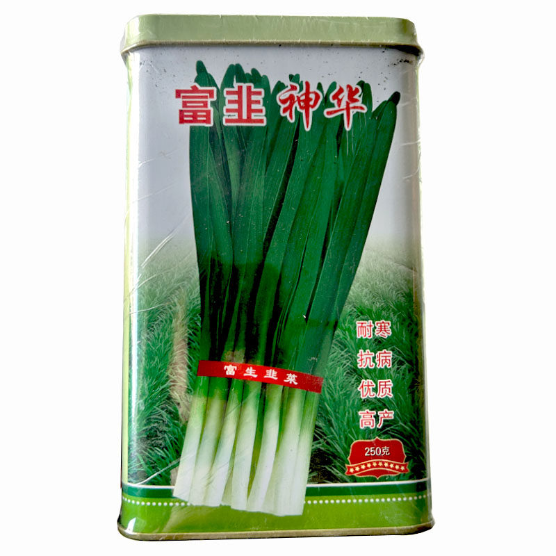 韭菜种子高产耐寒春秋播
