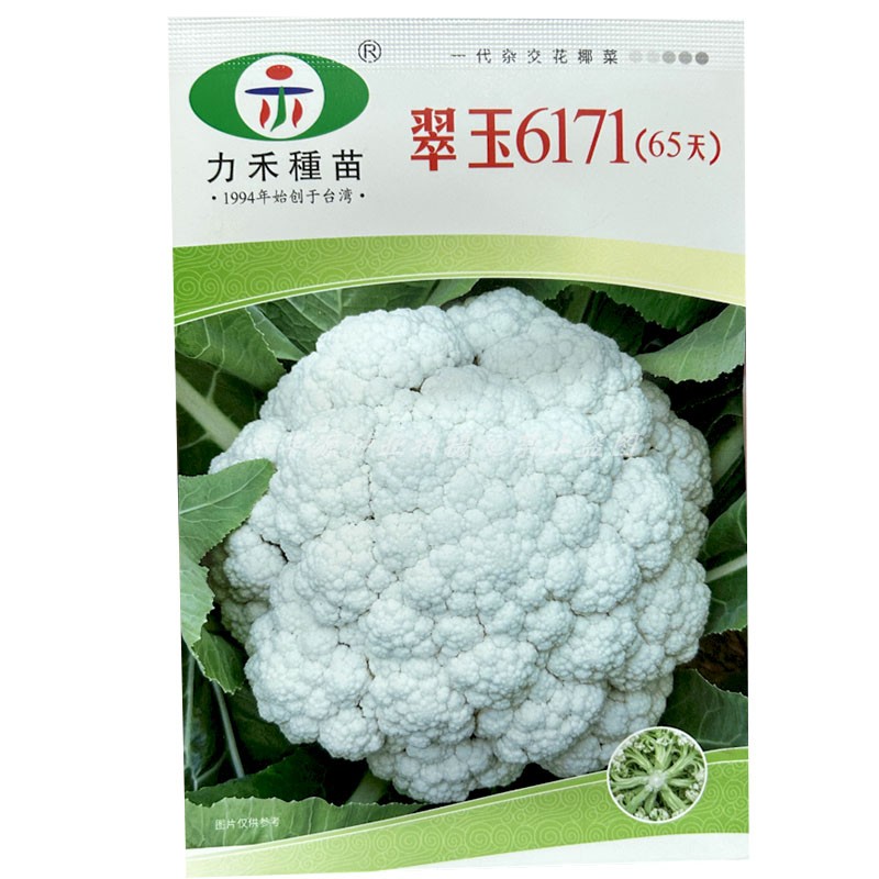 力禾种苗翠玉6171松花菜65天花菜种子青梗花椰菜种籽10g基地大田