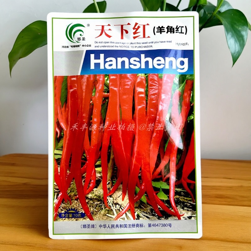 天下红辣椒种子羊角红四季播辣味浓干鲜两用蔬菜籽高产红辣椒种苗