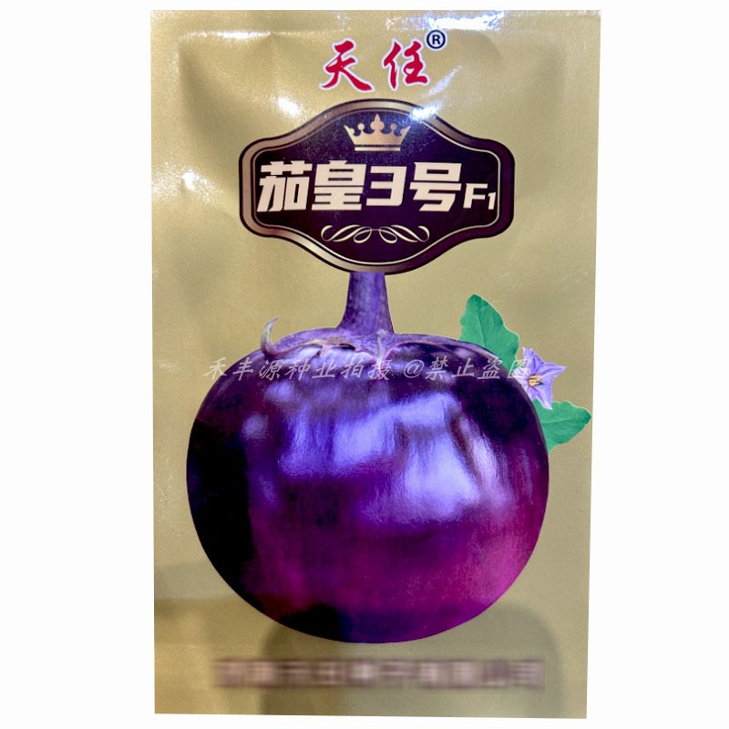 天任茄皇3号中早熟白肉紫圆茄种子5g紫红色圆球形茄子种子基地型