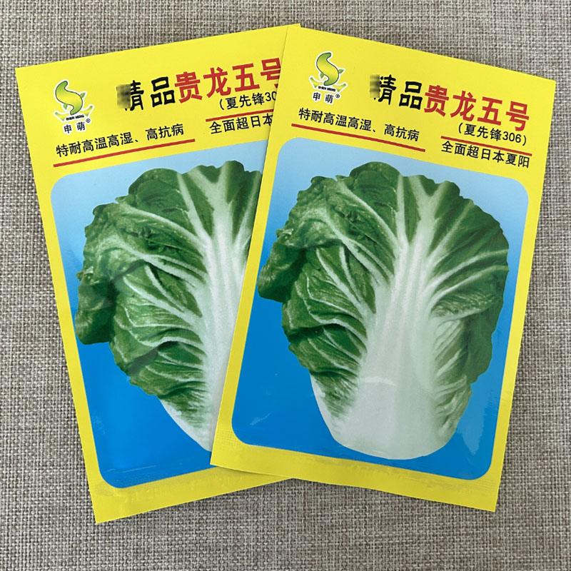 贵龙5号白菜种子抗病耐高温