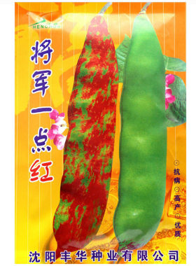 豆角种子彩色油豆高产结果多