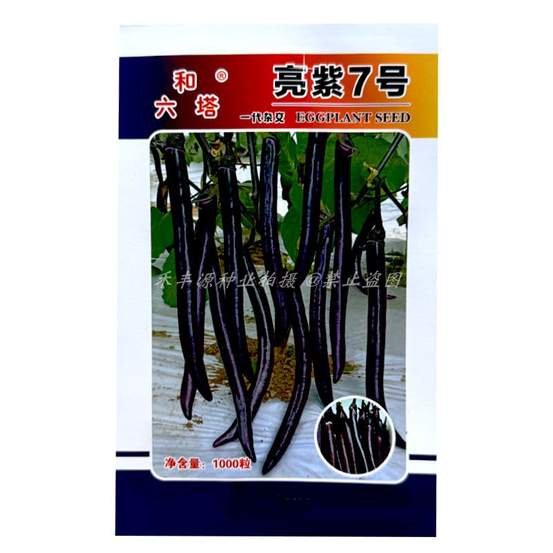 亮紫7号茄子种子高产早熟抗病春秋线茄长茄品种播蔬菜籽1000粒
