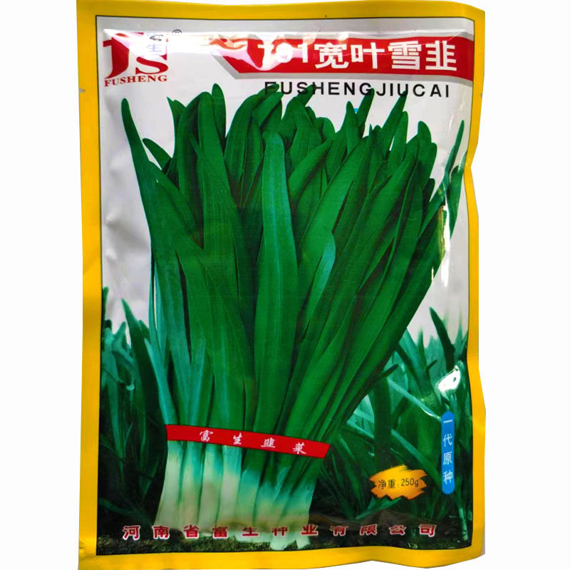 韭菜种子春秋种植宽叶白根